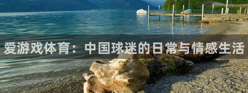 极悦娱乐登录地址：爱游戏体育：中国球迷的日常与情感生活