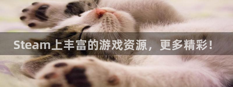 极悦娱乐平台负责人：Steam上丰富的游戏资源，更多精彩！