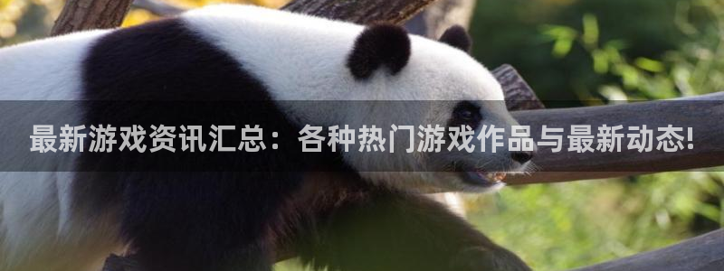 极悦娱乐平台官网客服电话：最新游戏资讯汇总：各种热门游戏作品