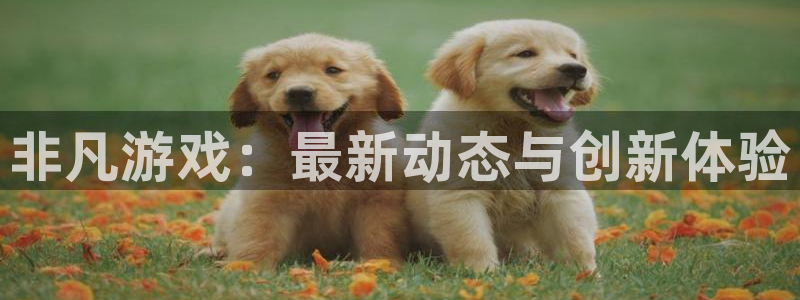 极悦娱乐平台官网入口：非凡游戏：最新动态与创新体验