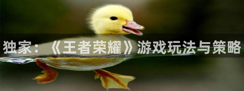 极悦娱乐代理登陆：独家：《王者荣耀》游戏玩法与策略