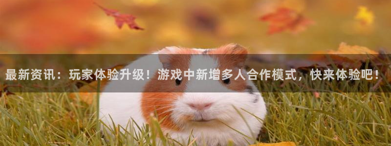 极悦娱乐4开户：最新资讯：玩家体验升级！游戏中新增多人合作模