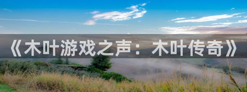 极悦娱乐2登录：《木叶游戏之声：木叶传奇》