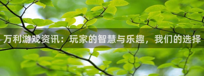 极悦娱乐注册：万利游戏资讯：玩家的智慧与乐趣，我们的选择