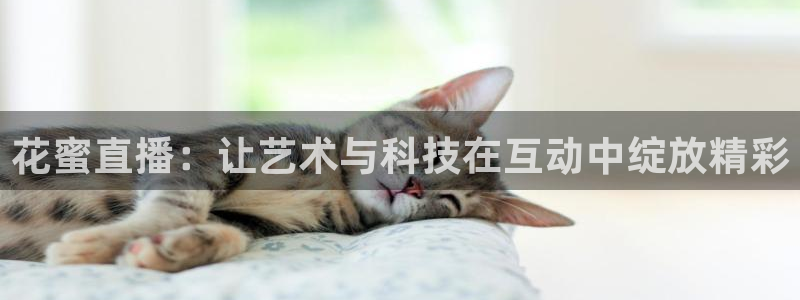 178直播比赛在线观看龙门