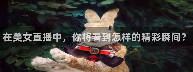 龙门比赛直播