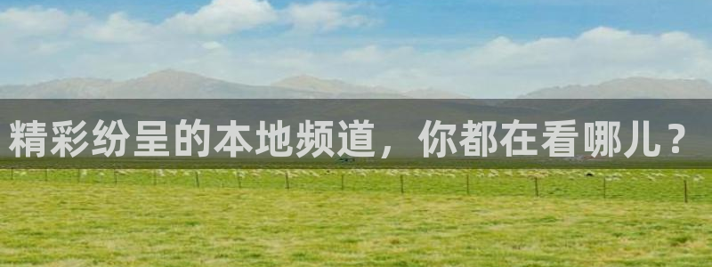 龙门直播nba免费直播在线观看：精彩纷呈的本地频道，你都在看哪儿？