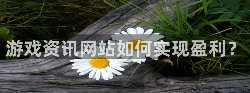 极悦娱乐登陆：游戏资讯网站如何实现盈利？
